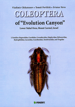 Coleoptera of Evolution Canyon, Part I